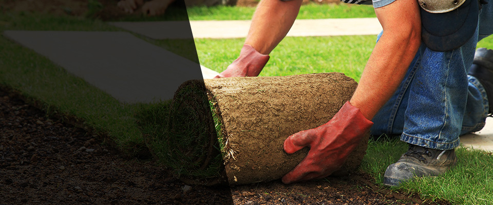 Superior Landscapers
